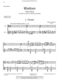 Windows von Peter Schickele 