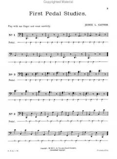 First Pedal Studies von Jessie L. Gaynor 