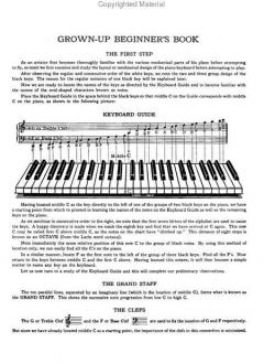 Grown-Up Beginning's Book von Beaver Felton 