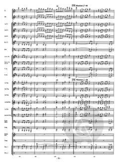 The Glacier Express (Larry Neeck) 