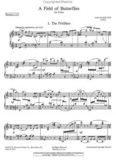 A field of Butterflies von Iain Hamilton 