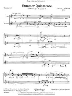Summer Quiescence von Robert Martin für Holzbläser Duo im Alle Noten Shop kaufen