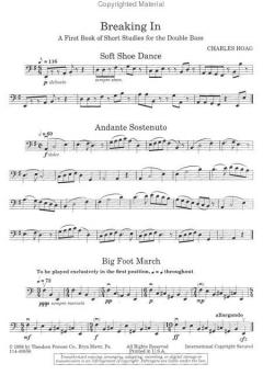 Breaking In von Charles K. Hoag 