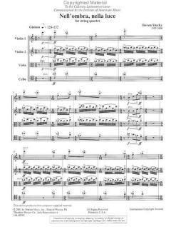 Nell'ombra, nella luce von Stephen Stucky 