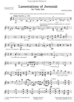 Lamentations Of Jeremiah von David Finko 