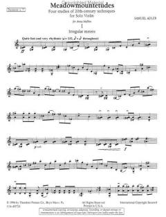 Meadowmountetudes von Samuel Adler 