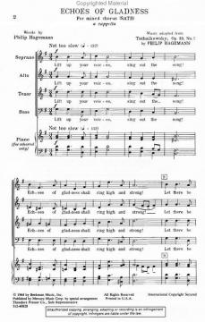 Echoes Of Gladness (Phil Hagemann) 