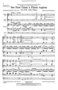 See How Great A Flame Aspires (Ron Kauffmann) 