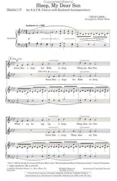 Sleep, My Dear Son 