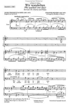 Wir wandelten (Johannes Brahms) 