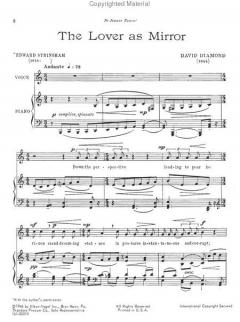 The Lover As Mirror von David Diamond 