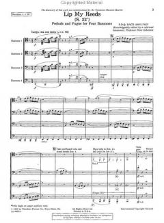 Lip My Reeds S. 32' (P. D. Q. Bach) 
