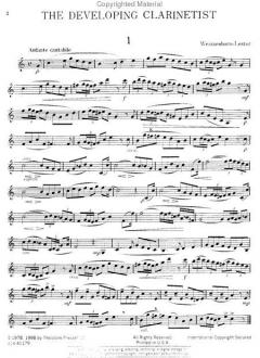 The Developing Clarinetist 
