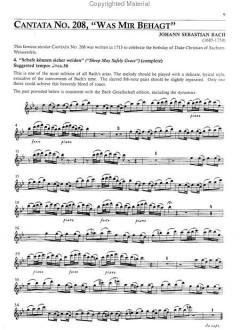 Great Flute Duos from the Orchestral Repertoire von Jeanne Baxtresser 