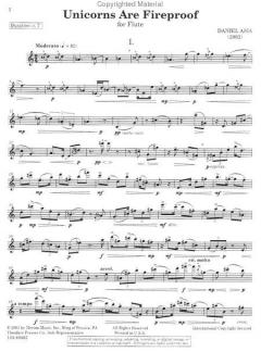 Unicorns Are Fireproof von Daniel Asia 