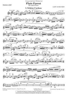 Flute Forest von Gary Schocker 