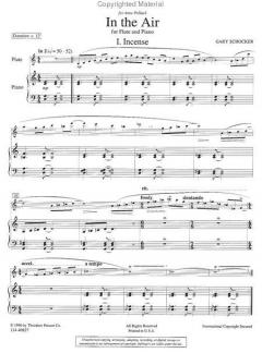 In the Air von Gary Schocker 