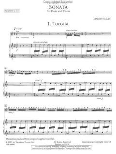 Sonata von Martin Amlin 