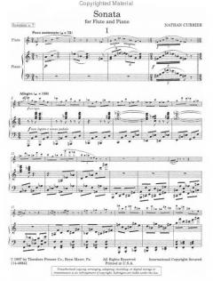 Sonata von Nathan Currier 