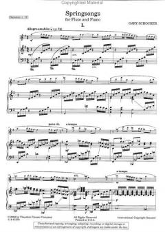 Springsongs von Gary Schocker 