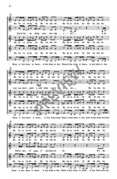 Acappella In Acapulco 