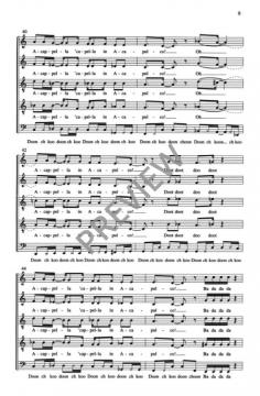 Acappella In Acapulco 