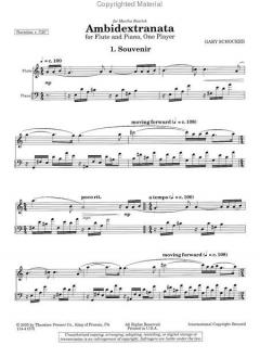 Ambidextranata von Gary Schocker 