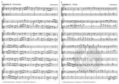 Drei Imitationen (Johannes Bornmann) 