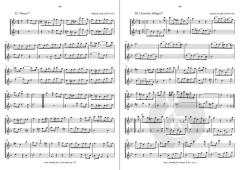 Ausgewählte Duette Band 2 (Johannes Bornmann) 