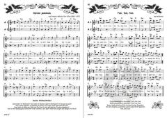 Advents- und Weihnachtslieder für 2 Altblockflöten 