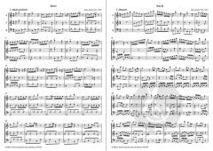 6 Trios op. 133 Band 1 (James Hook) 