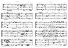 6 Trios op. 133 Band 2 (James Hook) 