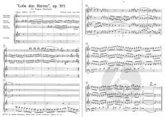 Choral-Suite op. 19 (Wolfram Graf) 