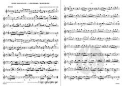 Echos' (Jacques-Martin Hotteterre) 