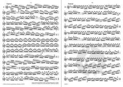 Fantasien und Capricen (Johann Joachim Quantz) 