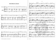 The Division Flute Teil 1 