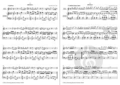 3 Sonaten op. 99 Vol. 1 (James Hook) 