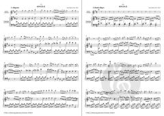 3 Sonaten op. 99 Vol. 2 (James Hook) 