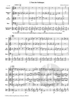 Die Zaubertrommel (Johannes Bornmann) 