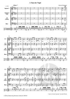 Die Zaubertrommel (Johannes Bornmann) 