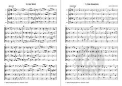 Der kleine Stern (Johannes Bornmann) 