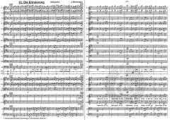 Der kleine Stern von Johannes Bornmann 