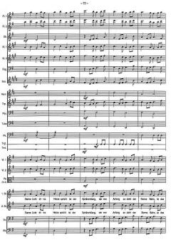 Der kleine Stern von Johannes Bornmann 