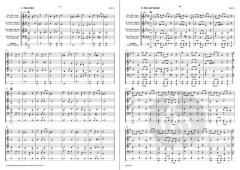 Kleiner Bär von Johannes Bornmann 