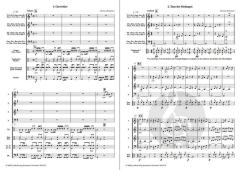 Die Zaubertrommel von Johannes Bornmann 