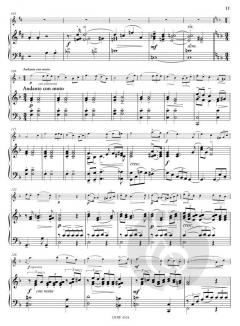 Konzert Nr. 4 für Violine und Klavier op. 15 In D-Dur von Friedrich Seitz für Violine und Klavier im Alle Noten Shop kaufen