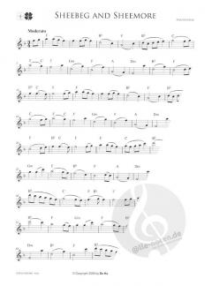 Irish Melodies for Flute von Joachim Johow 