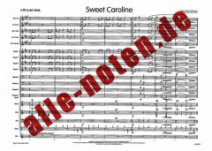 Sweet Caroline von N. Diamond 