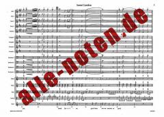 Sweet Caroline von N. Diamond 