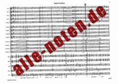 Sweet Caroline von N. Diamond 